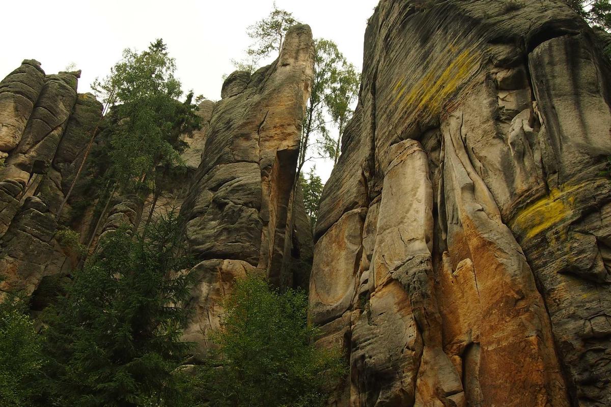 대형 물류 기업 친환경 완충재 개발